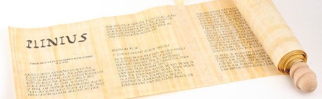 Cyperus Papyrus Unterrichtsmaterial Geschichte Naturprodukt handgelegtes Papyrus Papier echtes Papyri Papyrus-Rolle aus Ägypten Forum Traiani Papyrus Blatt 92x62cm Naturrand 