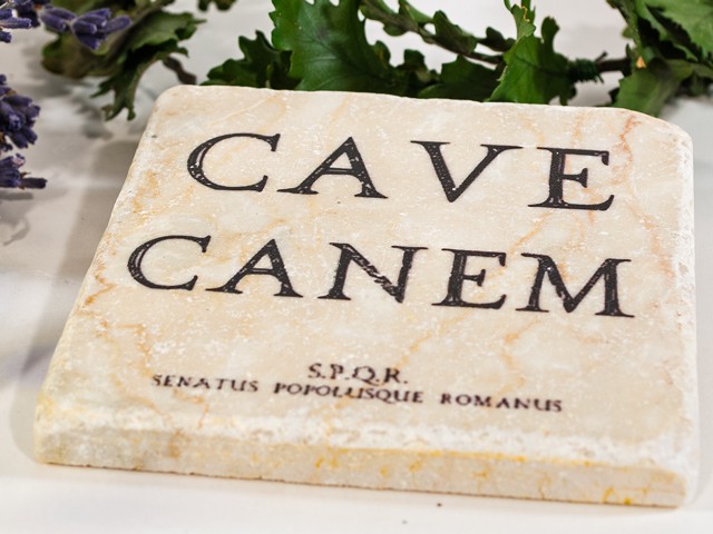 Untersetzer Römershop Cavecanem_Untersetzer