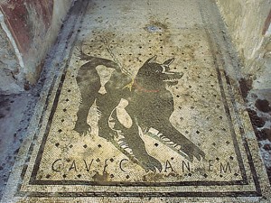 Cave Canem Pompeji